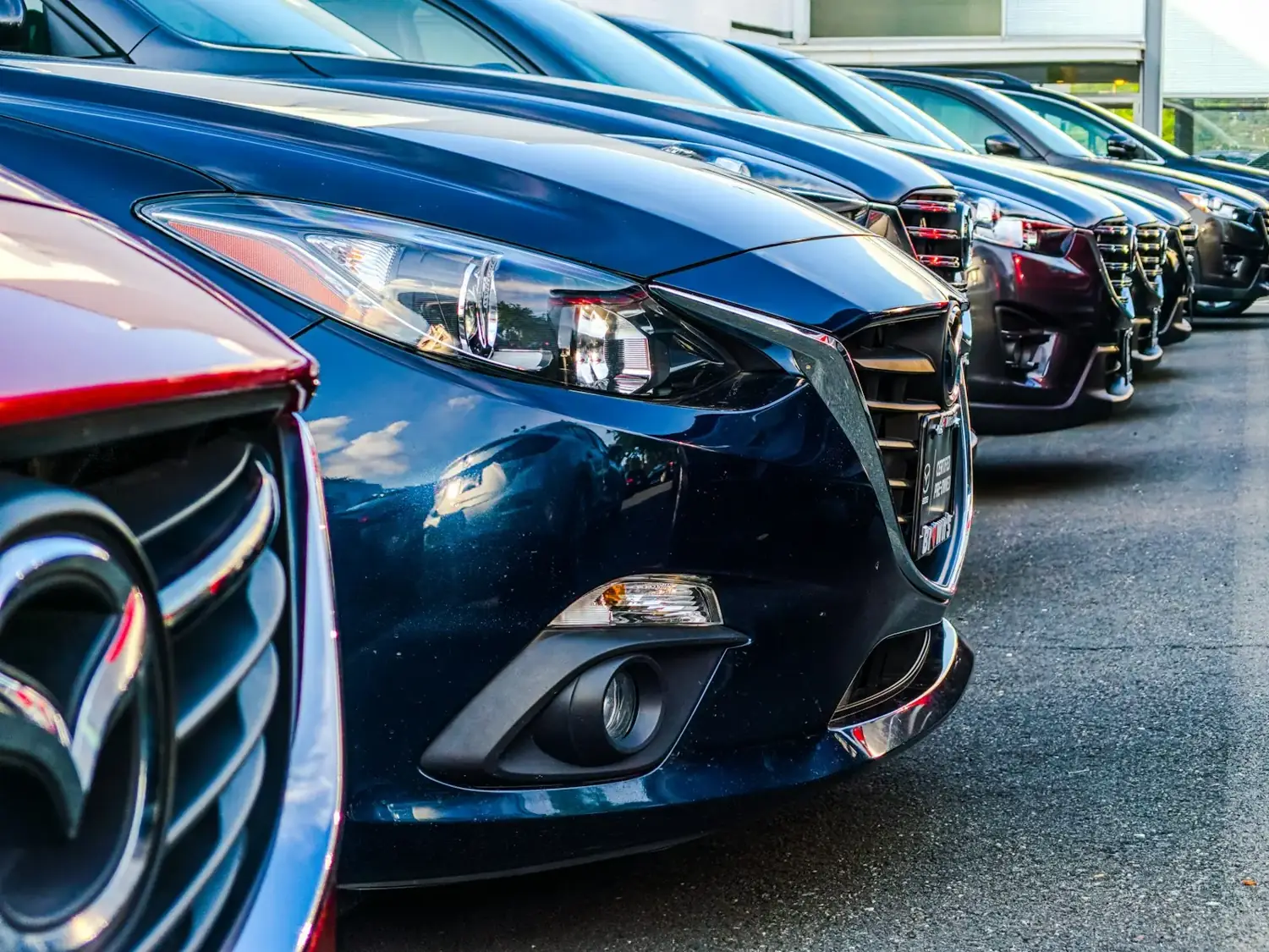 Rows of new cars